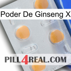 Ginseng Power X 24